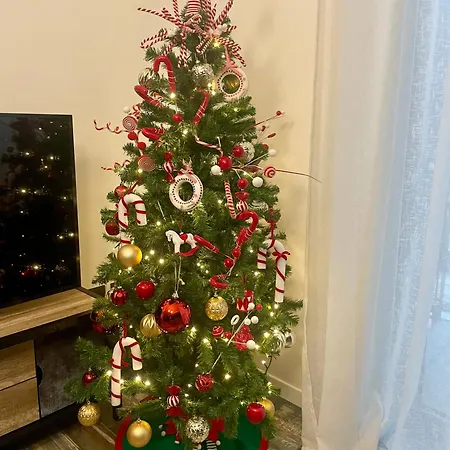 Oda ve Kahvaltı Interno 7 3*